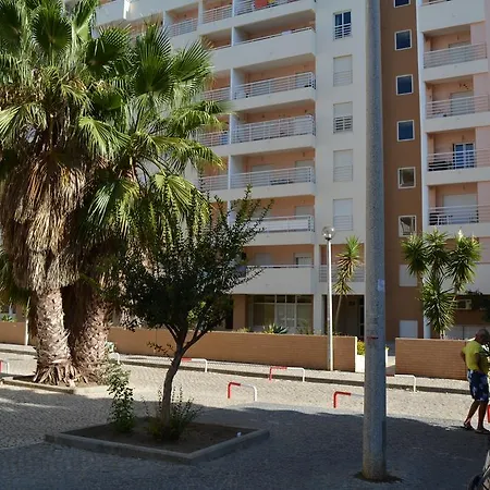 Tulipa 6 B * Armação de Pêra